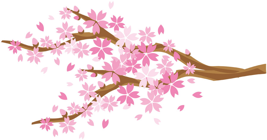 桜 イラスト 写真 無料 Allis