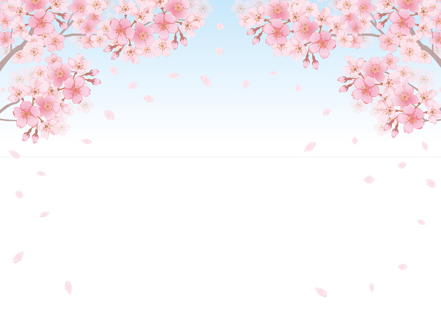 トップコレクション 桜 背景 イラスト フリー