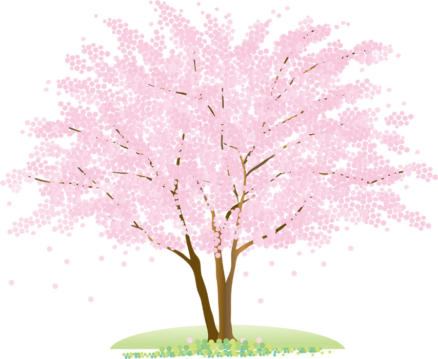 イラスト 桜の 木