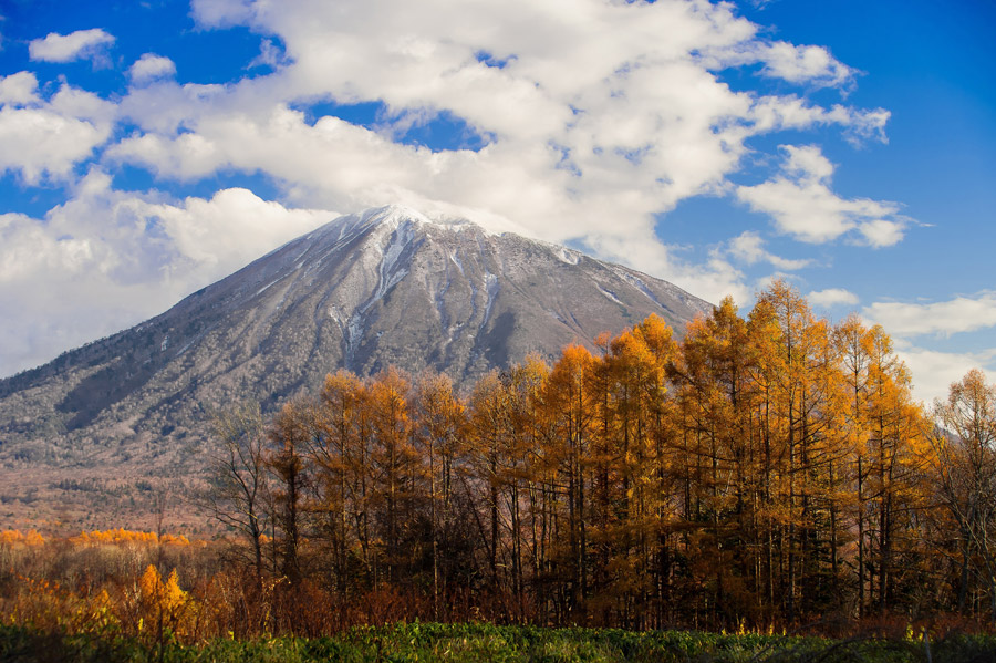 フリー写真, フリー写真, CC0 写真, 風景（写真）, 自然, 山, 樹木, 紅葉（黄葉）, 秋（写真）, 日本, 北海道, 羊蹄山