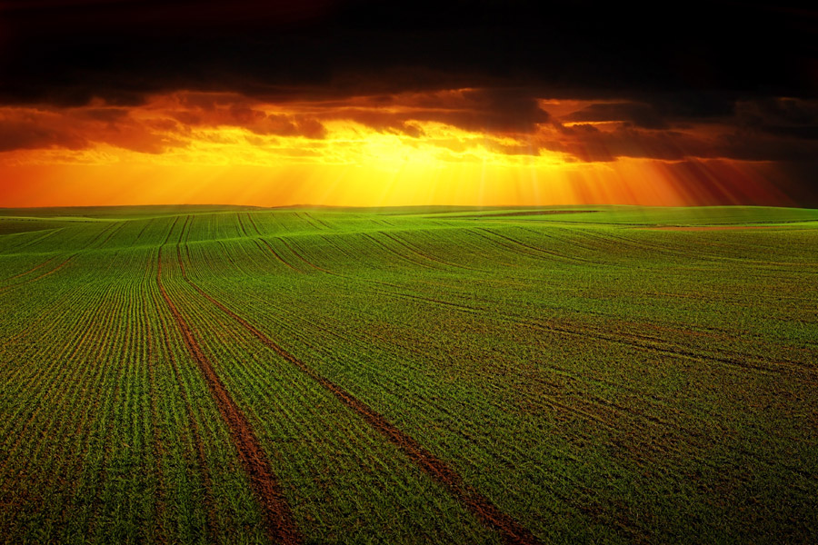 フリー写真, CC0 写真, 風景（写真）, 牧草地, 暗雲, 夕方（夕暮れ）, 夕焼け, 薄明光線, 夕日（夕陽）