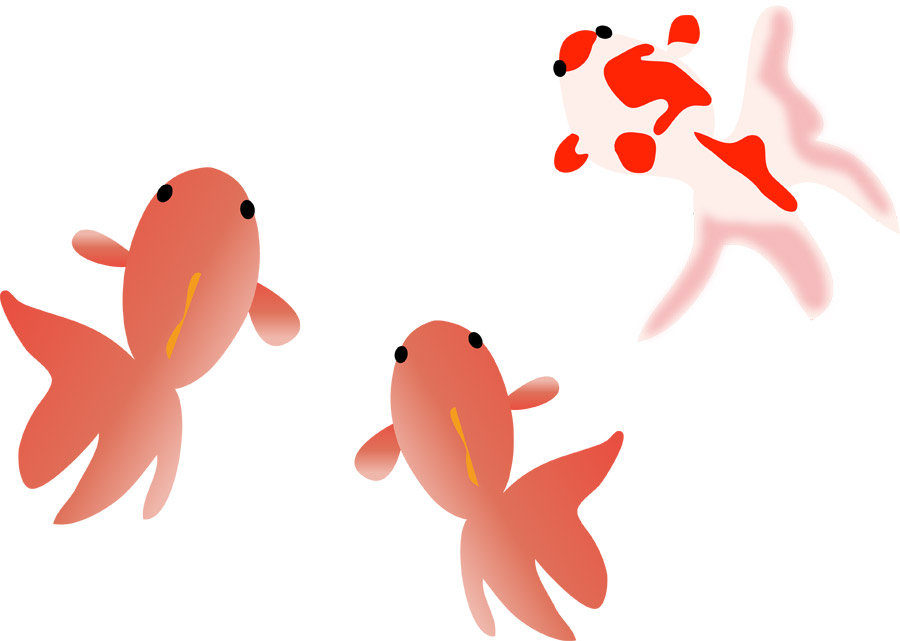 フリーイラスト, CC0 イラスト, ベクター, AI, 動物（イラスト）, 魚類, 魚（サカナ）, 金魚（キンギョ）