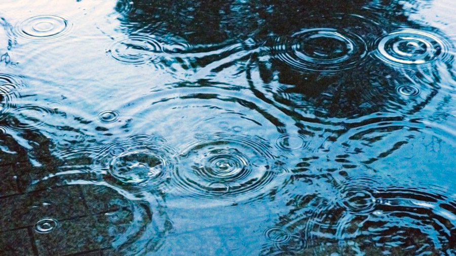 著作権フリー写真, 背景（写真）, 雨, 水溜まり, 天気, 波紋, 梅雨, 6月