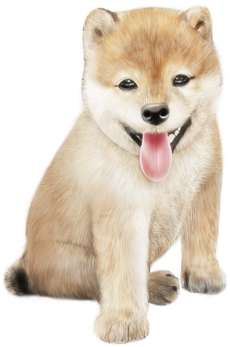 動物（イラスト）, 哺乳類, 犬（イヌ）, 子犬, 柴犬（シバイヌ）