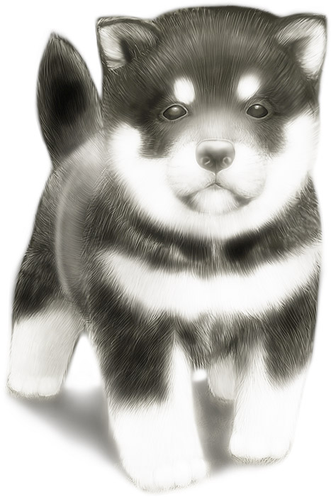 動物（イラスト）, 哺乳類, 犬（イヌ）, 子犬, シベリアン・ハスキー