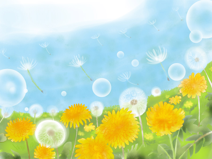 風景（イラスト）, 植物（イラスト）, 花（イラスト）, 蒲公英（タンポポ）, 綿毛, 種子, 花畑