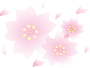 桜 サクラ パブリックドメインq 著作権フリー画像素材集