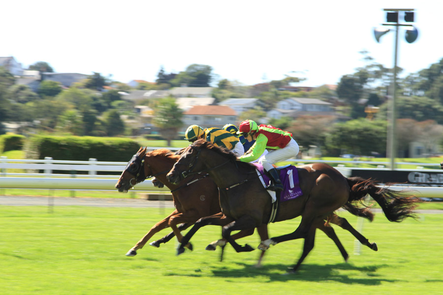 スポーツ（写真）, 競馬, 競馬騎手（ジョッキー）, 乗馬, 人と動物, 動物（写真）, 哺乳類, 馬（ウマ）, 賭博（ギャンブル）, 走る（動物）