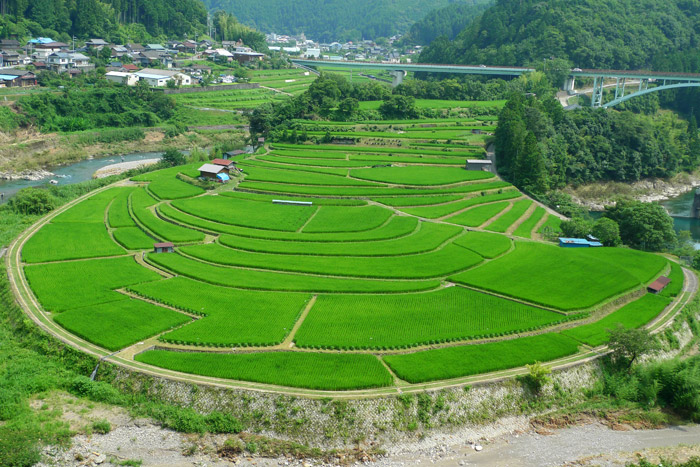 風景（写真）, 水田（田んぼ）, 田園風景, あらぎ島, 田舎, 日本（写真）, 和歌山県