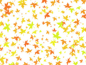 フリーイラスト 紅葉した楓の背景