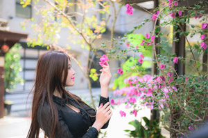 フリー写真 ピンクの木花を見る台湾人女性