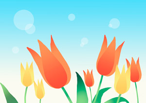 フリーイラスト 赤と黄色のチューリップの花畑