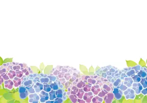 フリーイラスト 紫陽花の花畑の背景
