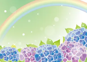 フリーイラスト 紫陽花の花の上に架かる虹