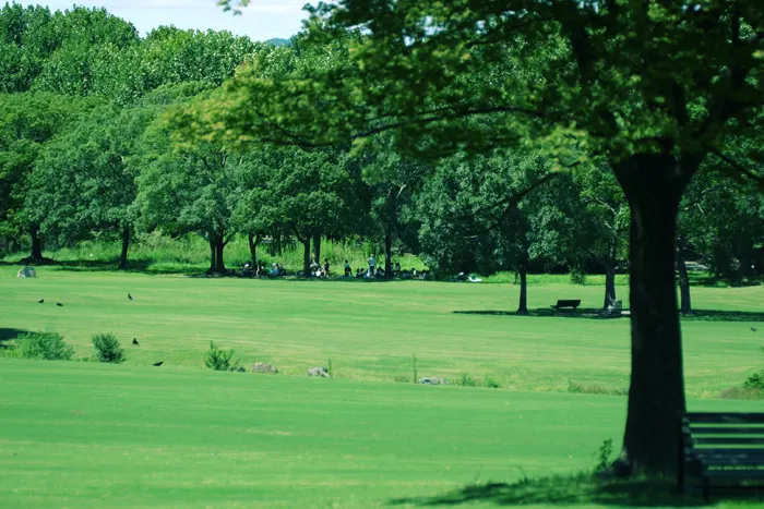 フリー写真, CC0 写真, 風景（写真）, 日本, 公園, 芝生