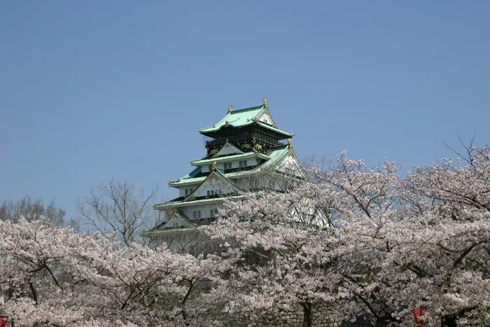 フリー写真, CC0 写真, 風景（写真）, 建築物（建物）, 城（要塞）, 大阪城（大坂城）, 日本, 大阪府, 日本の観光地, 春（写真）, 桜（サクラ）