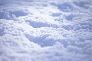 フリー写真 降り積もった雪