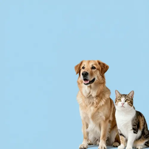 フリーAI画像, CC0 AI画像, 写真（AI画像）, 動物（AI画像）, 哺乳類, 犬（イヌ）, 猫（ネコ）, 背景（AI画像）