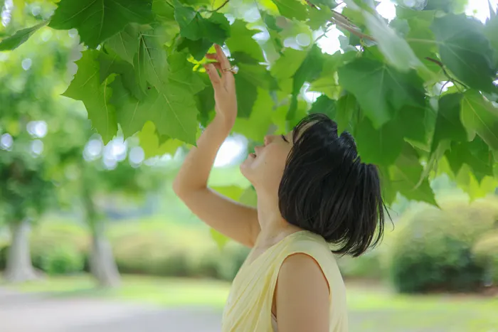 フリー写真, CC0 写真, 人物（写真）, 女性（写真）, アジア人女性, 若い女性, ポートレイト, ショートヘア, 見上げる, 葉っぱ（写真）, 横顔