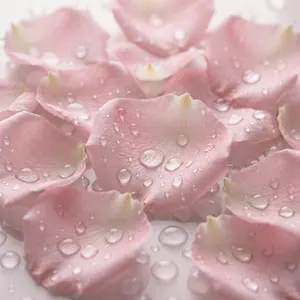 AI画像 水滴のついた花びら