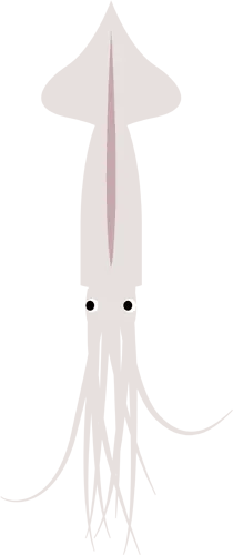 フリーイラスト, CC0 イラスト, ベクター, AI, 動物（イラスト）, 軟体動物, 烏賊（イカ）, 魚介類, 食べ物（イラスト）