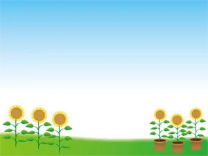 フリーイラスト ヒマワリと青空の風景