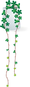 フリーイラスト 観葉植物のシュガーバイン