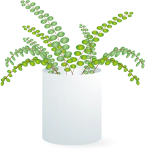 フリーイラスト 観葉植物のアジアンタム