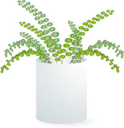 フリーイラスト, CC0 イラスト, ベクター, EPS, 植物（イラスト）, 観葉植物, シダ植物