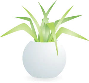 フリーイラスト 観葉植物のオリヅルラン