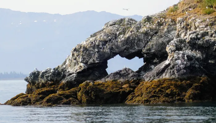 フリー写真, CC0 写真, 風景（写真）, 自然, 岩, 海岸, アラスカ州, アメリカ