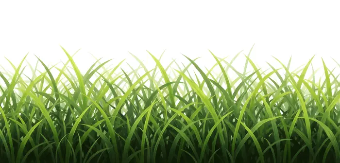 フリーAI画像, CC0 AI画像, イラスト（AI画像）, 植物（AI画像）, 雑草, 草むら