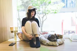 フリー写真 猫カフェの眠っている猫と台湾人女性