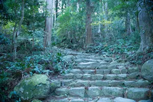 フリー写真 熊野古道の石段