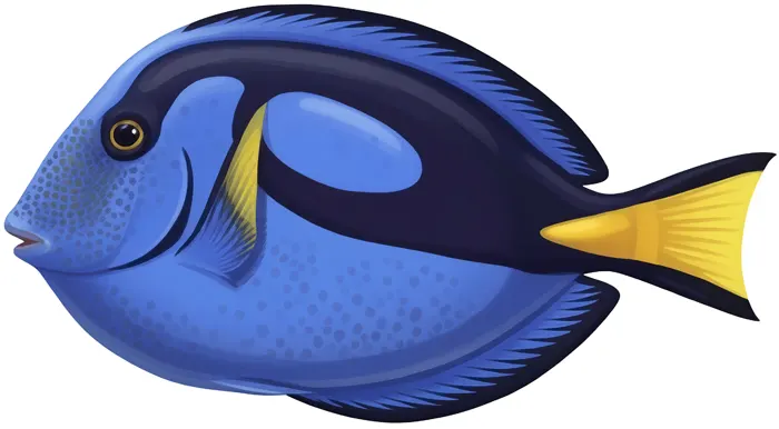 フリーAI画像, CC0 AI画像, イラスト（AI画像）, 動物（AI画像）, 魚類, 魚（サカナ）, 熱帯魚, ナンヨウハギ