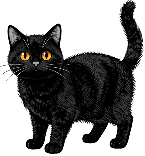 フリーAI画像, CC0 AI画像, イラスト（AI画像）, 動物（AI画像）, 哺乳類, 猫（ネコ）, 黒猫