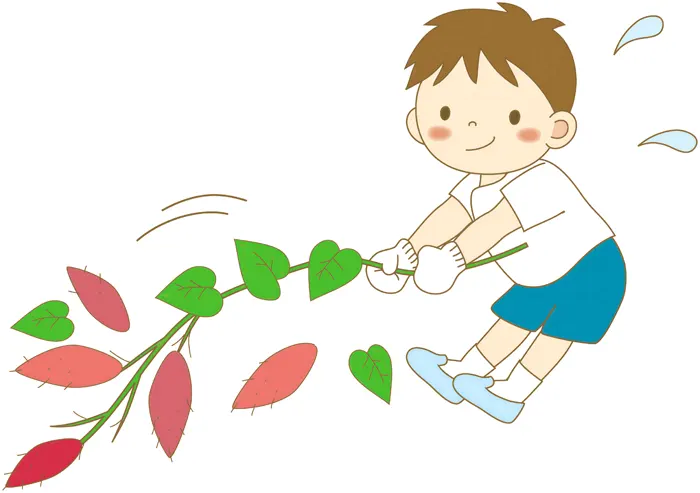 フリーイラスト, CC0 イラスト, 人物（イラスト）, 子供（イラスト）, 男の子, 食べ物（イラスト）, 野菜, サツマイモ, 芋（イモ）, 収穫