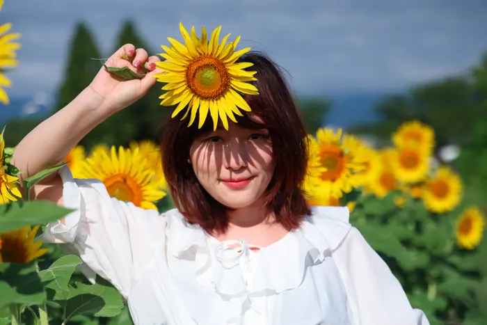 フリー写真, CC0 写真, 人物（写真）, 女性（写真）, アジア人女性, 若い女性, ポートレイト, 日本人, 人と花, 向日葵（ヒマワリ）, 花畑, 夏（AI画像）